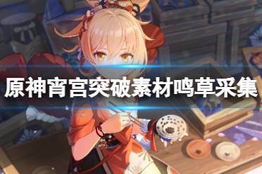 《原神》攻略——宵宫突破素材鸣草采集路线推荐