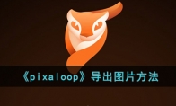 《pixaloop》攻略——导出图片方法
