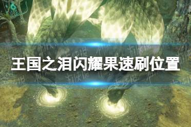 《塞尔达传说王国之泪》攻略——闪耀果哪里多