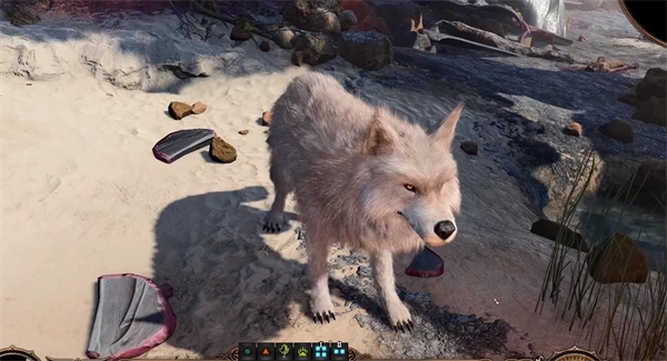 《博德之门3》攻略——解除变形方法