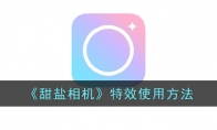 《甜盐相机》攻略——特效使用方法