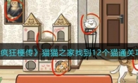 《疯狂梗传》攻略——猫猫之家找到12个猫通关攻略