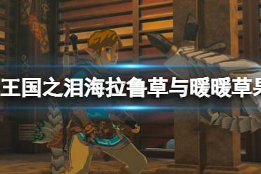 《塞尔达传说王国之泪》攻略——暖暖草果在哪采摘