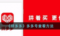 《拼多多》攻略——多多号查看方法