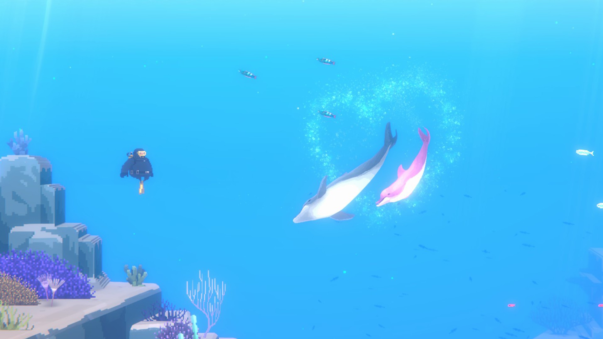 《潜水员戴夫》攻略——鱼怪图鉴及其捕获方式